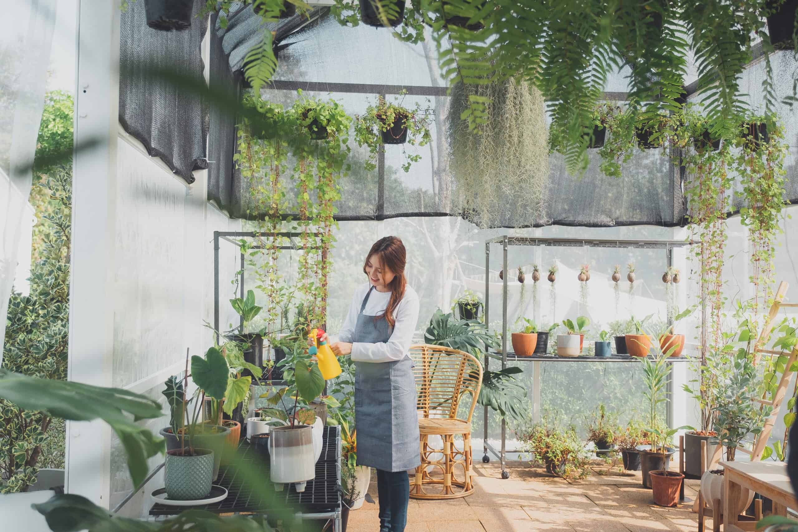 Home gardening, love of plants and care. Small business.
