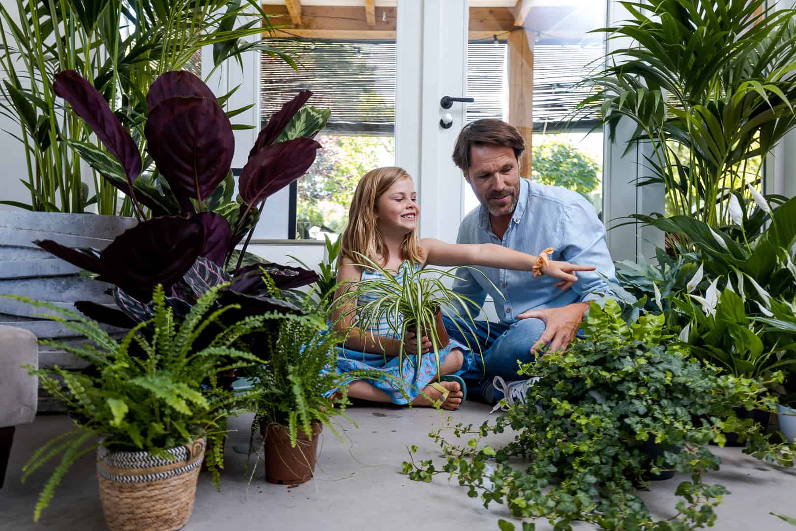Air So Pure - Planten in huis