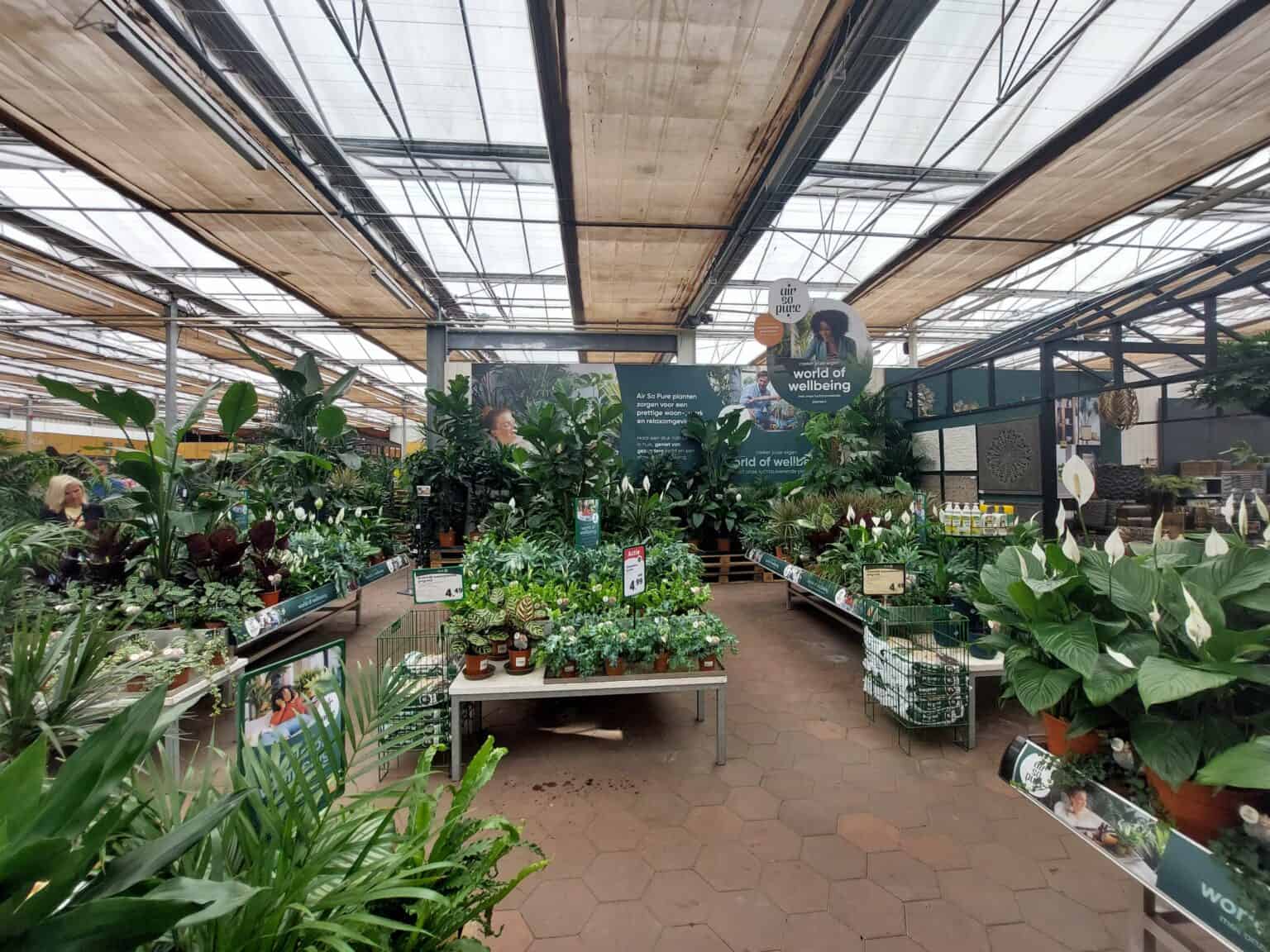 Ontdek Air So Pure in De Grote Tuinverbouwing • Air So Pure