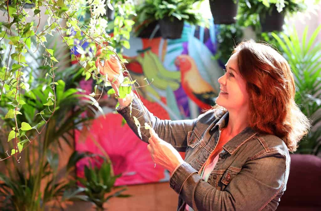 Air So Pure Libelle Margriet Zomerweek 2025