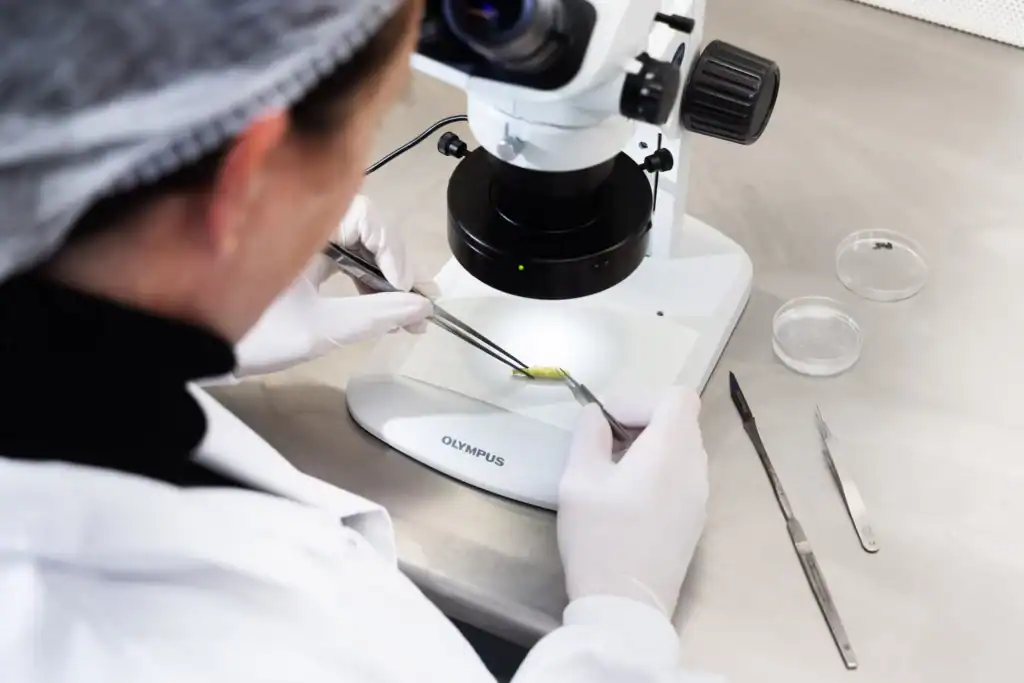 KP Holland DNA testen