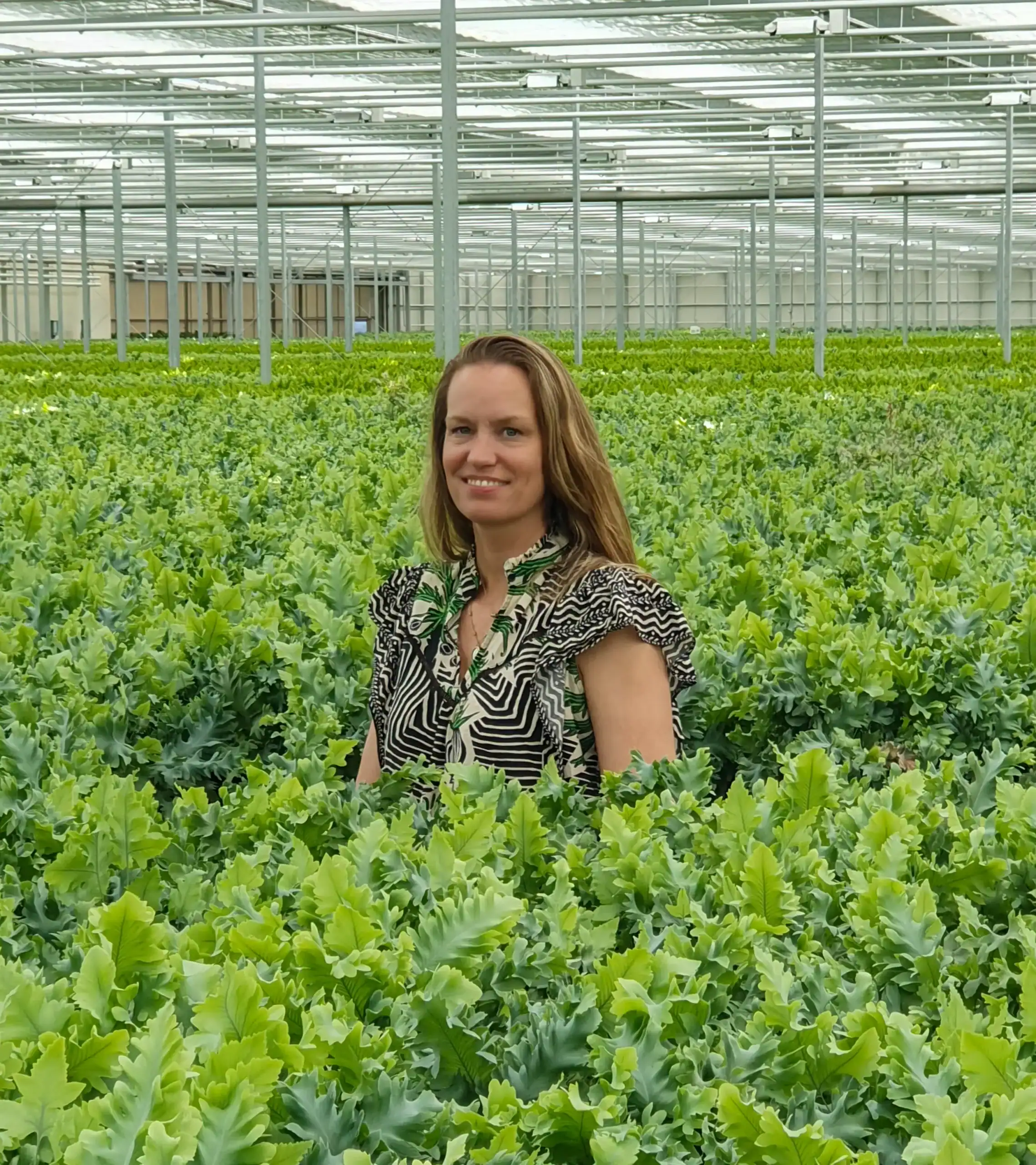 Kelly Raadschelders Varens in de kas tussen de Phlebodium Davana