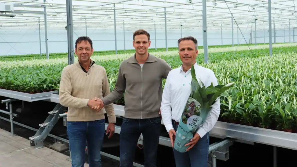 Westland Plant samenwerking KP Holland