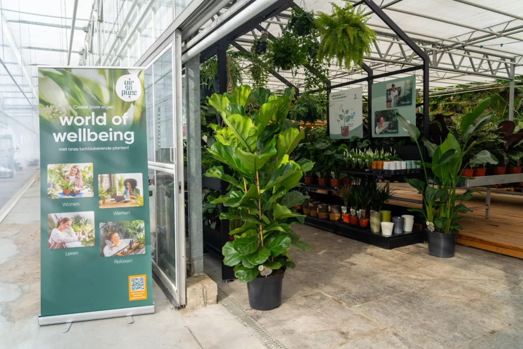Air So Pure presentatie Forever Plants