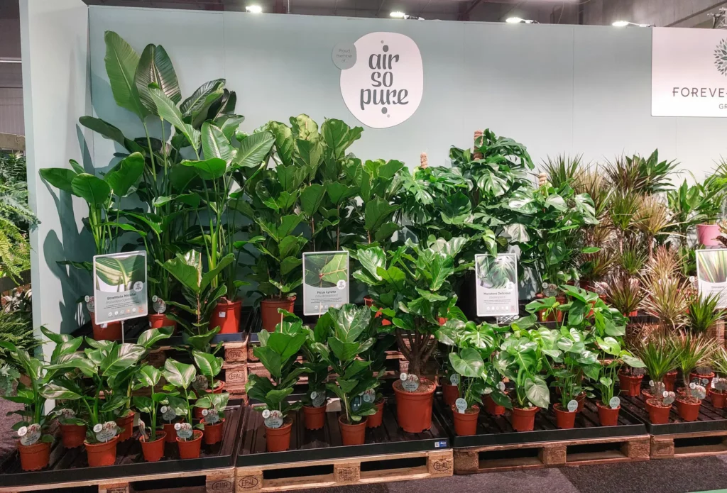 Forever Plants Beurs Stand Air So Pure