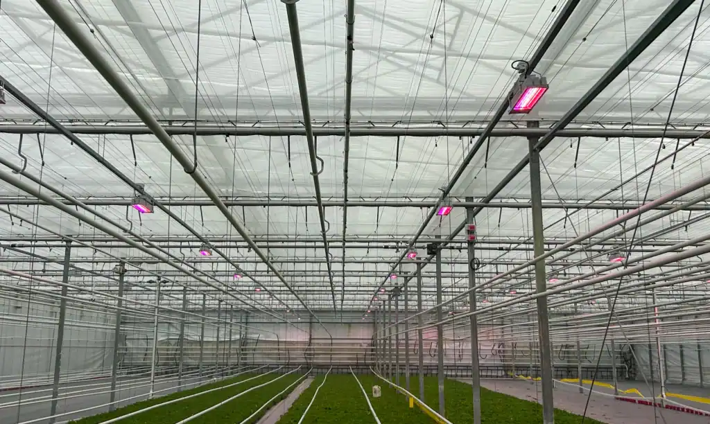 JK Plant Duurzame LED verlichting