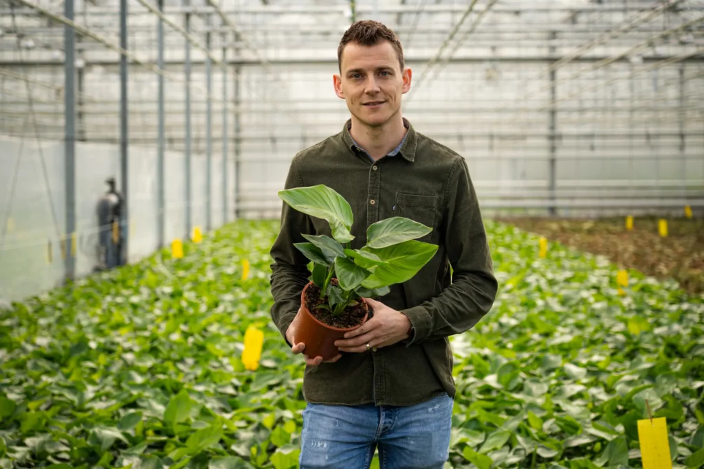 Thom Persoon Forever Plants Group lid Air So Pure