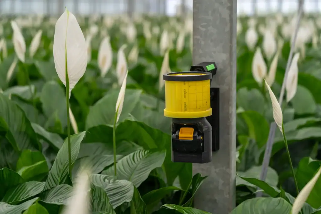 Bestplant Innovaties en Ontwikkelingen