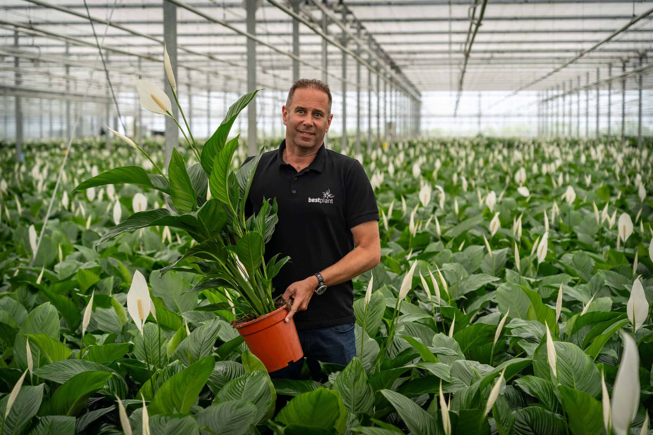 Patrick Zuidgeest, tussen de Spathiphyllum van Bestplant
