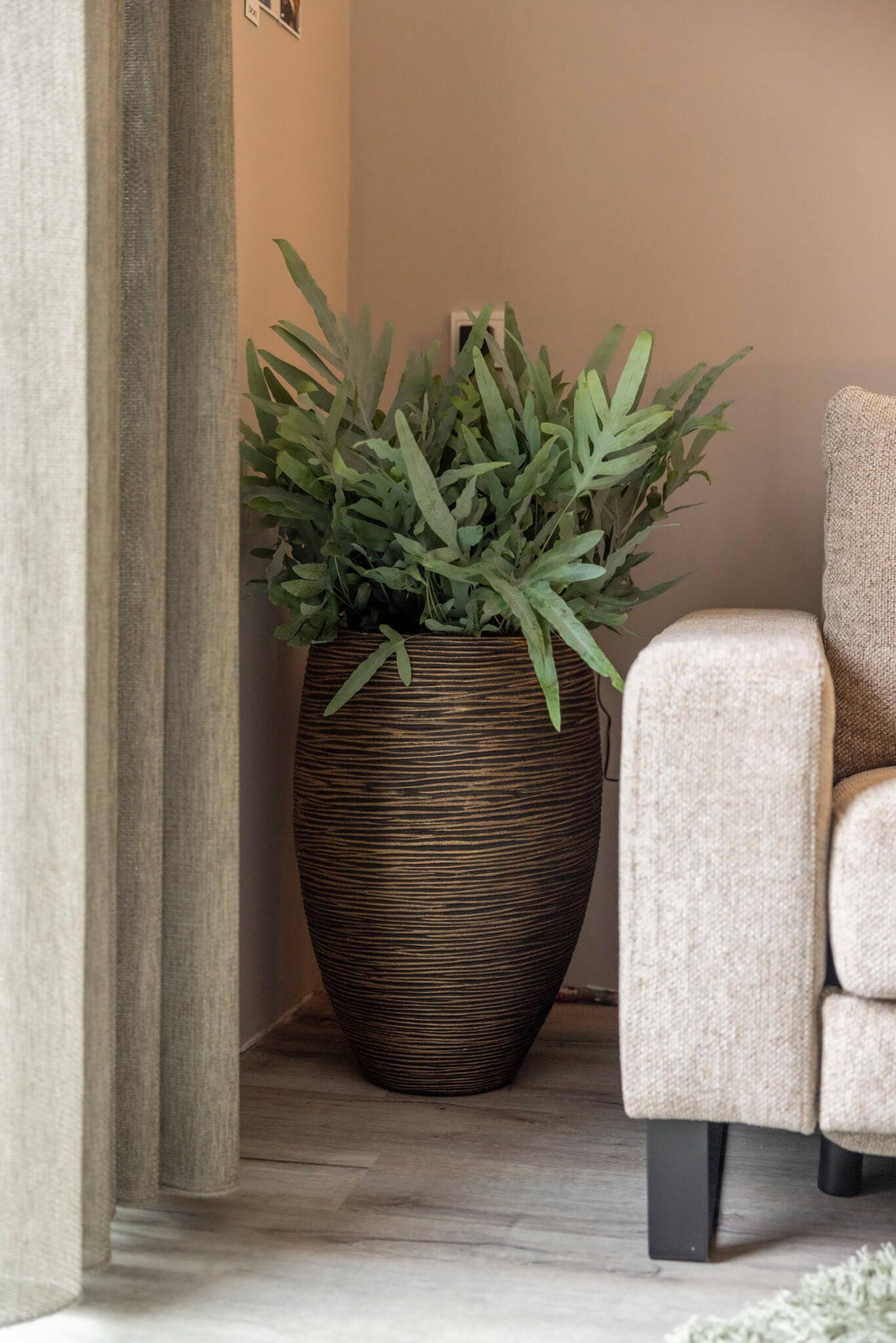 Air So Pure Luchtzuiverende Plant van de Maand Februari 2026