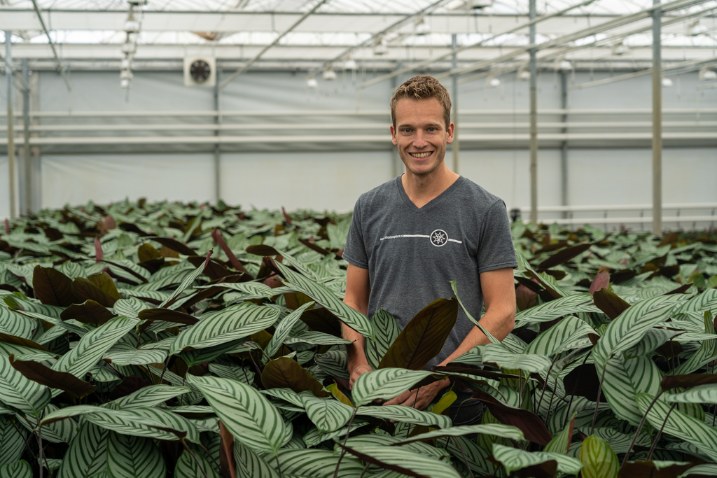 Roy Valstar tussen de Calathea's bij kwekerij Teun Valstar Shadowplant