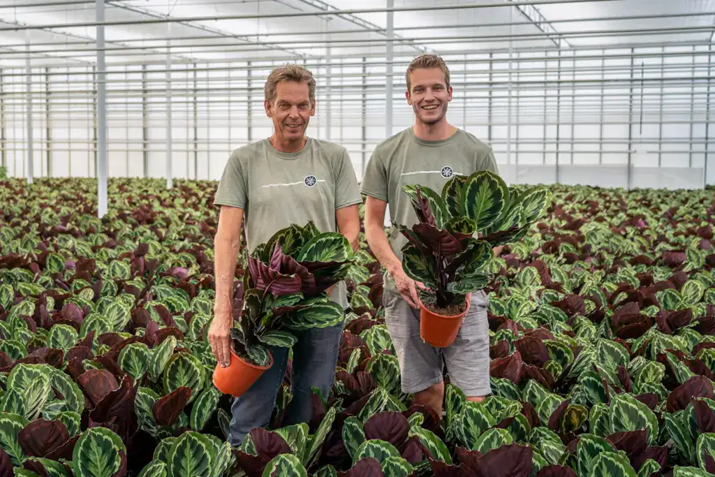 Roy Valstar en Teun Valstar Shadowplant