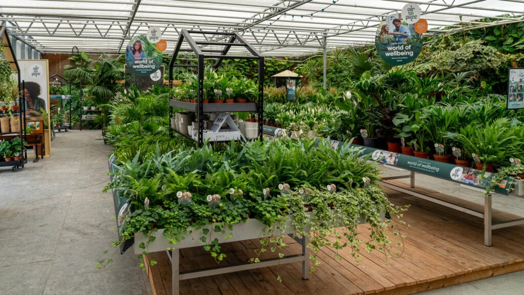 Air So Pure Telersvereniging Huisbeurs