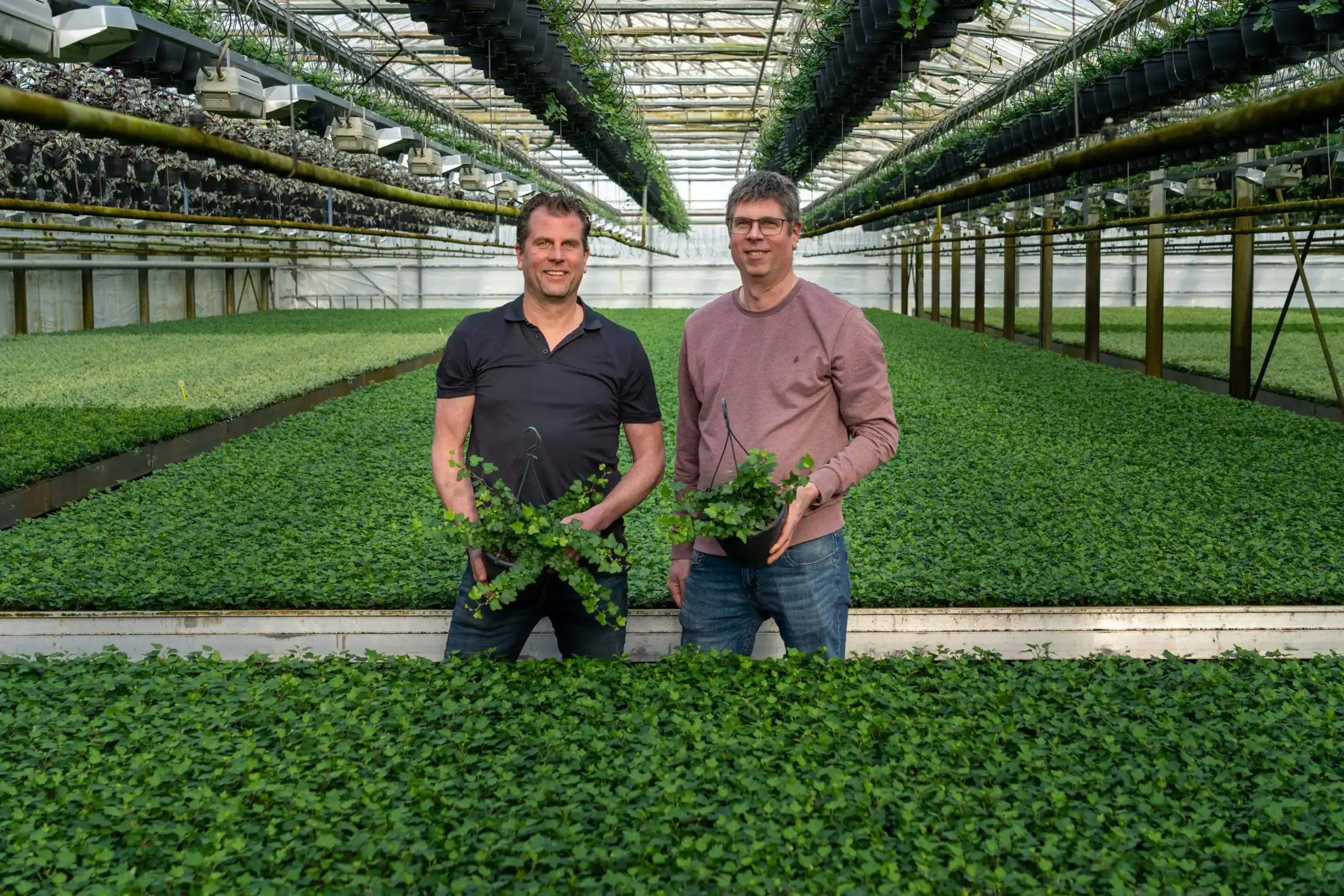 Martijn Tol en Peter Tol, eigenaren van Quakelplant, tussen de Hedera