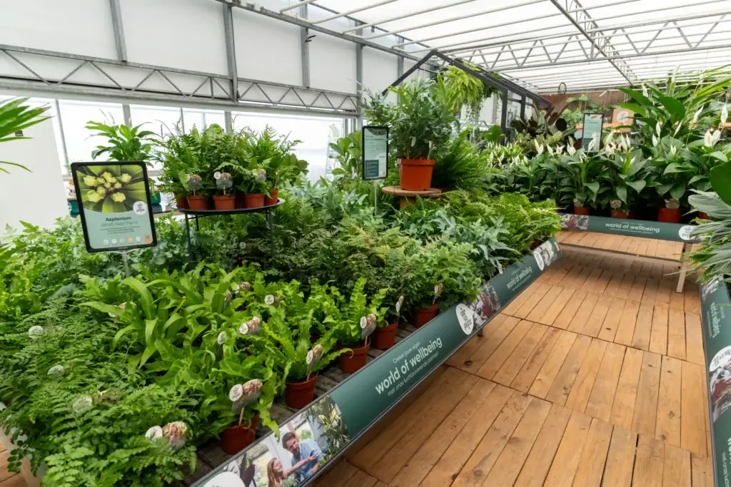 Tuincentrumtafel met luchtzuiverende planten van Air So Pure